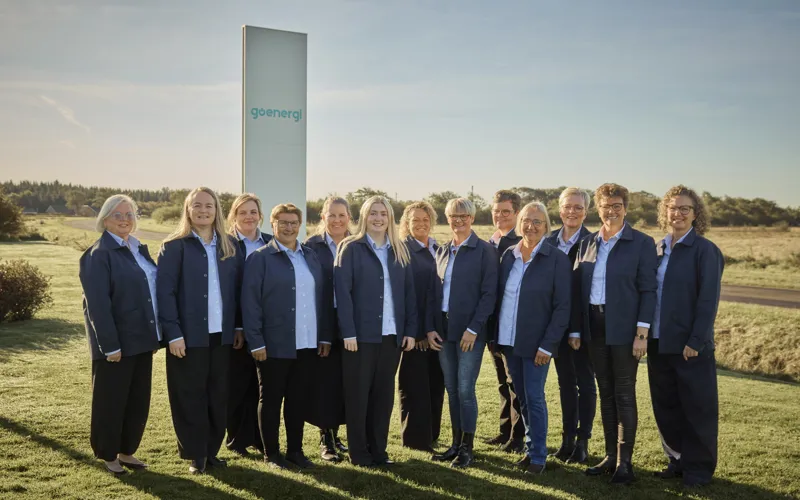 Medarbejdere hos go'energi