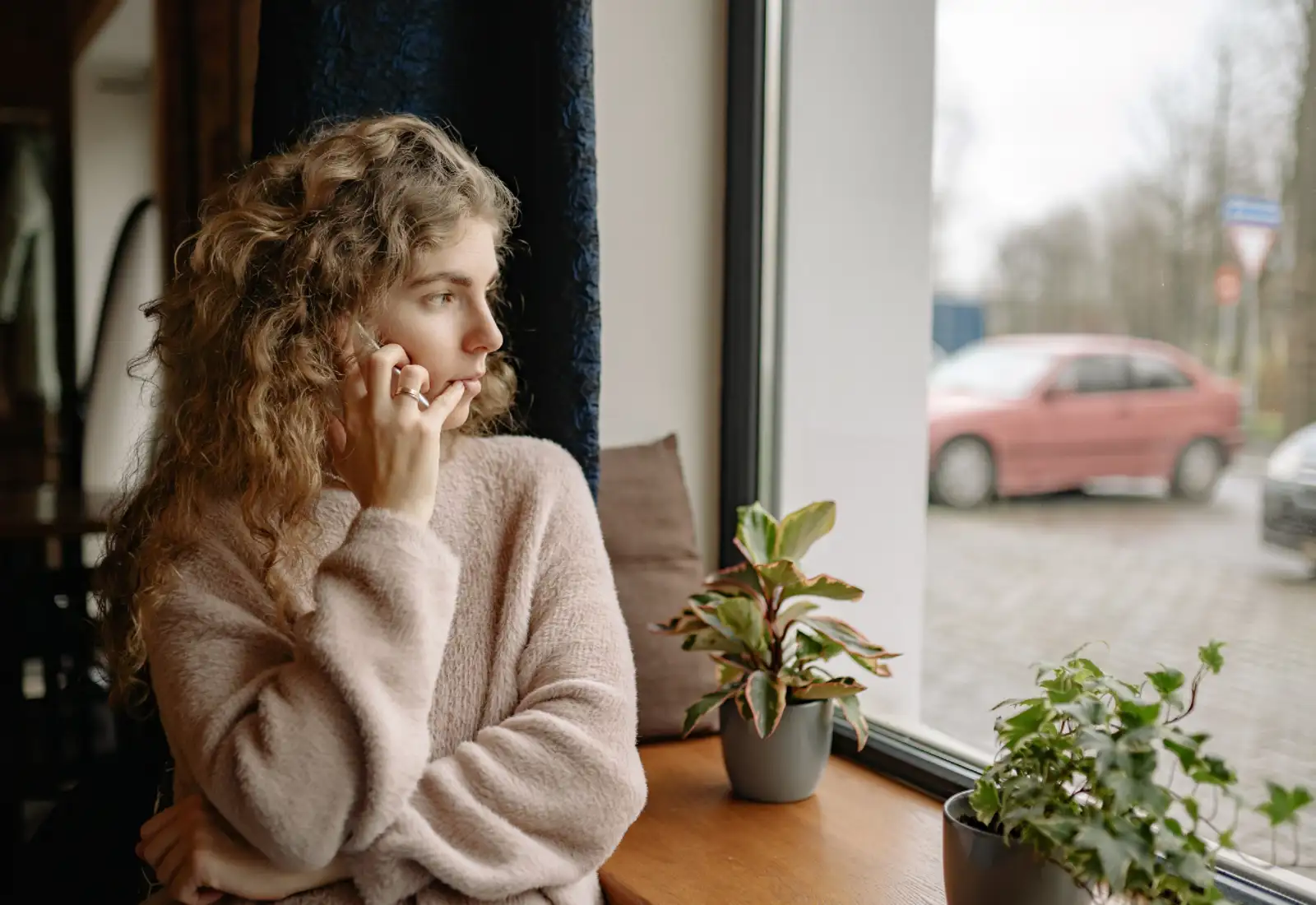 Billede, Hjemmeside (2)