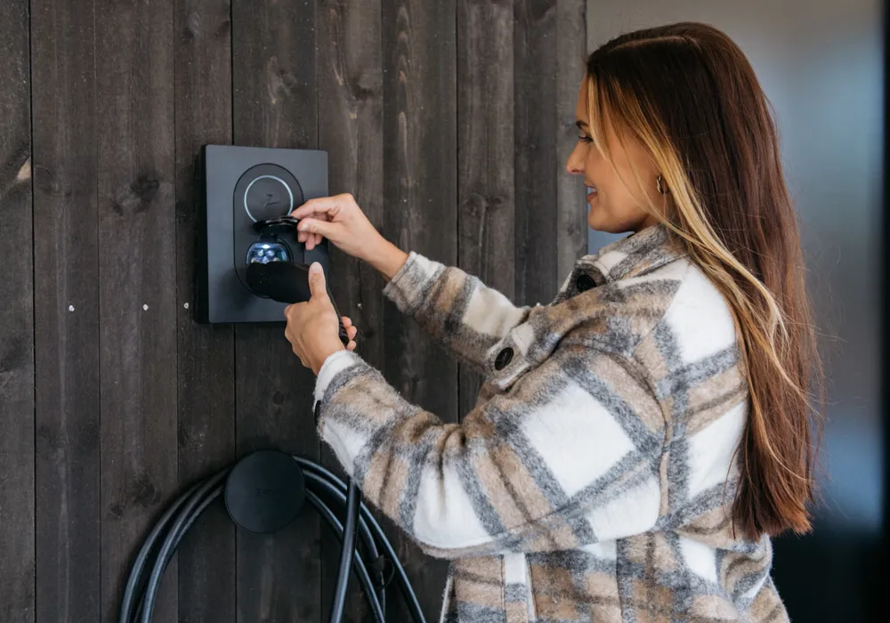 Ladeboks til private